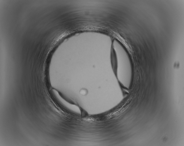 X0000094810203200712141629