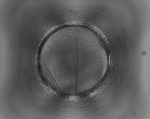 X0000094810204200712141629