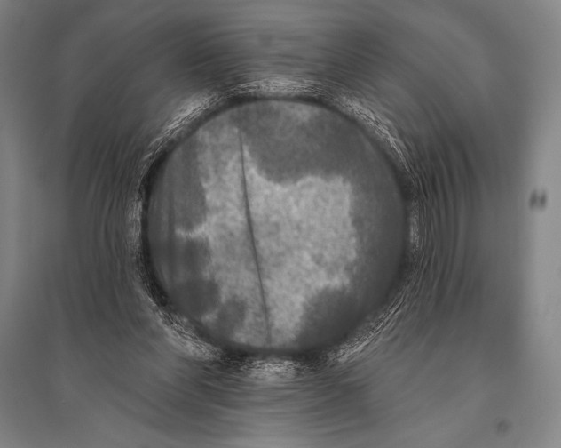 X0000094810206200712141629