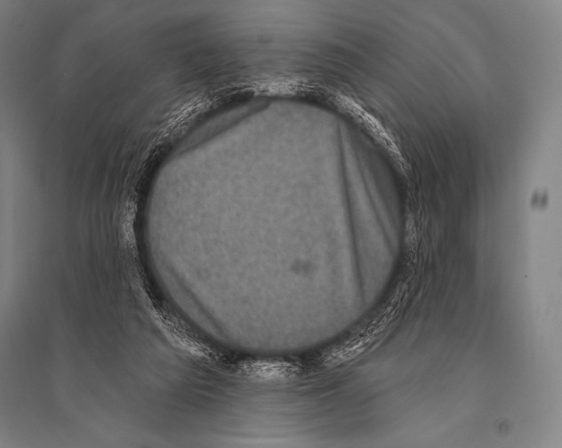 X0000094810209200712141629