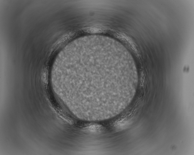 X0000094810210200712141629