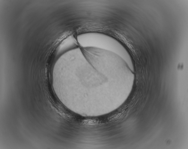 X0000094810211200712141629