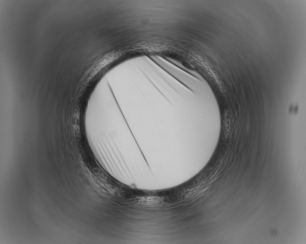 X0000094810212200712141629