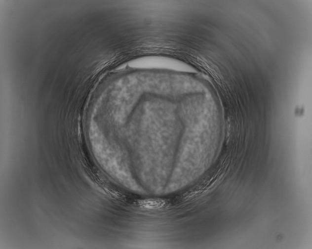 X0000094810215200712141629