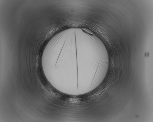 X0000094810216200712141629