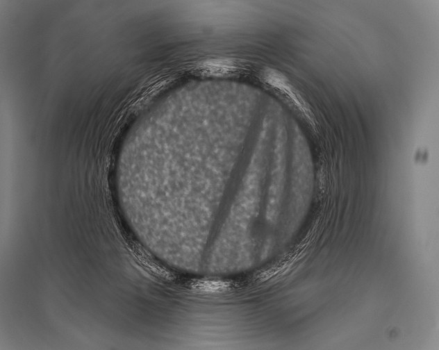 X0000094810217200712141629