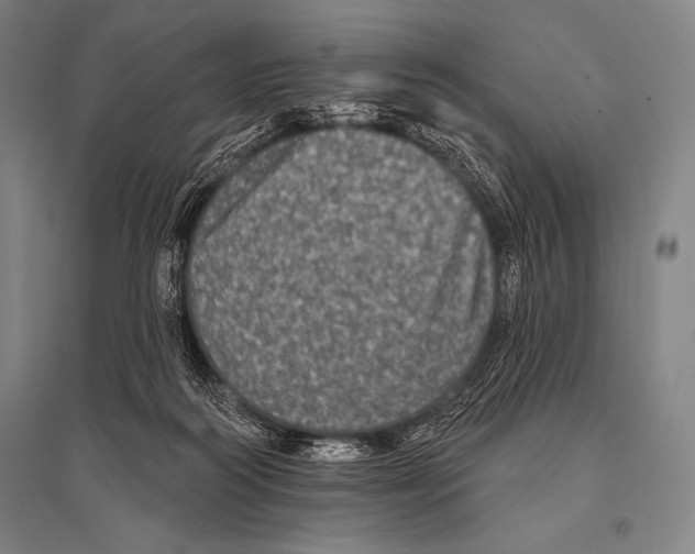 X0000094810218200712141629