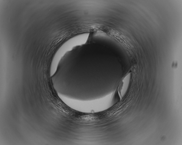 X0000094810219200712141629