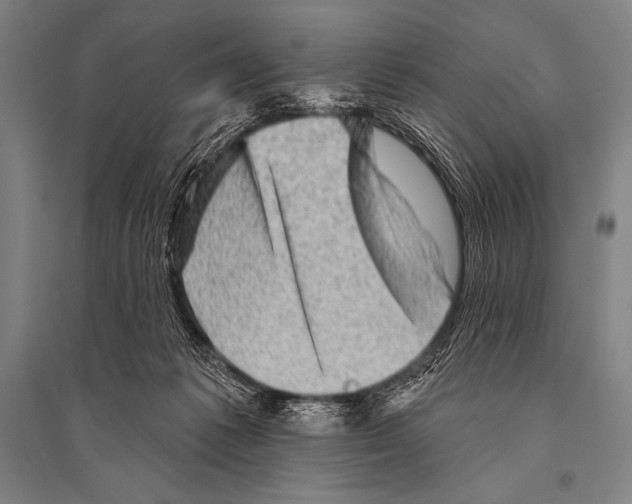 X0000094810221200712141629