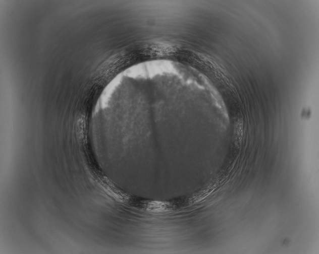 X0000094810222200712141629