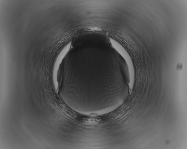 X0000094810223200712141629