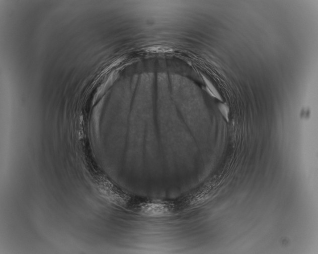 X0000094810224200712141629