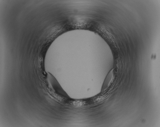 X0000094810225200712141629