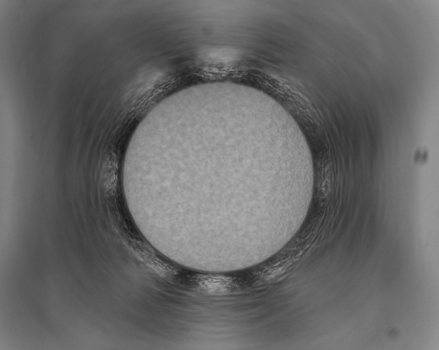 X0000094810226200712141629