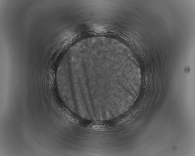 X0000094810228200712141629