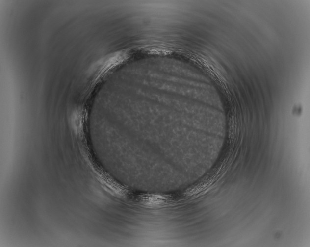 X0000094810229200712141629