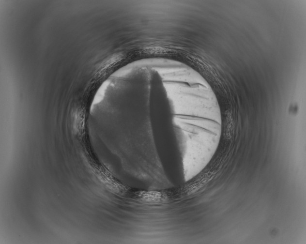 X0000094810230200712141629