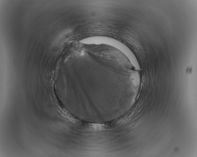 X0000094810233200712141629