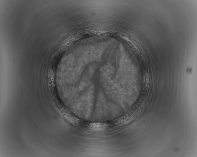 X0000094810234200712141629