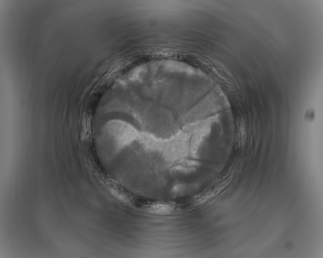 X0000094810236200712141629