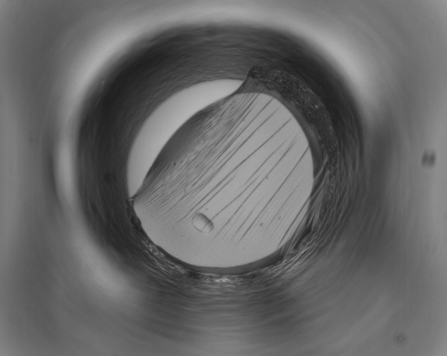 X0000094810239200712141629