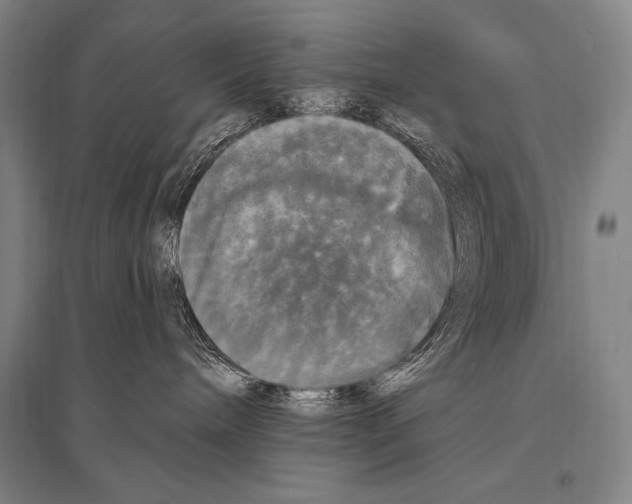 X0000094810240200712141629