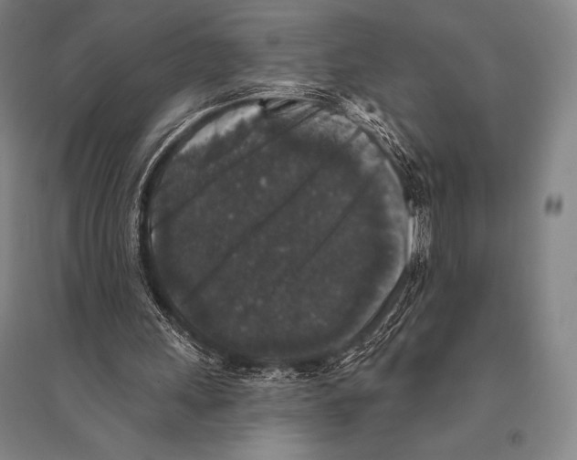 X0000094810243200712141628