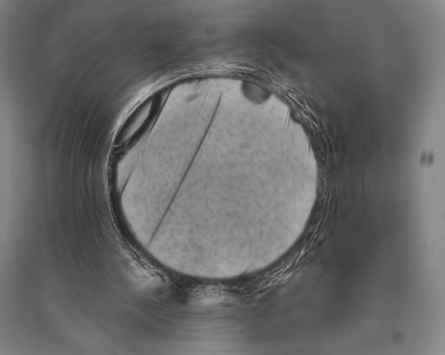 X0000094810244200712141628