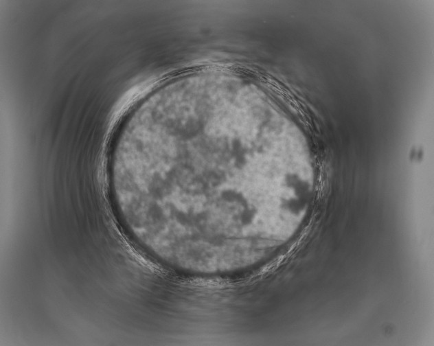 X0000094810245200712141628