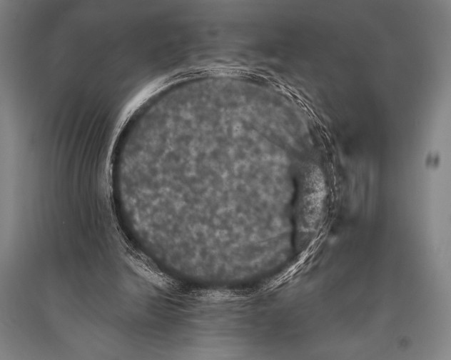 X0000094810246200712141628