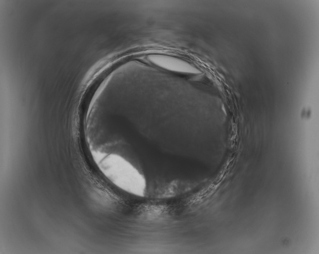 X0000094810247200712141628