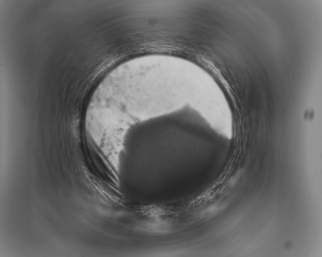 X0000094810249200712141628