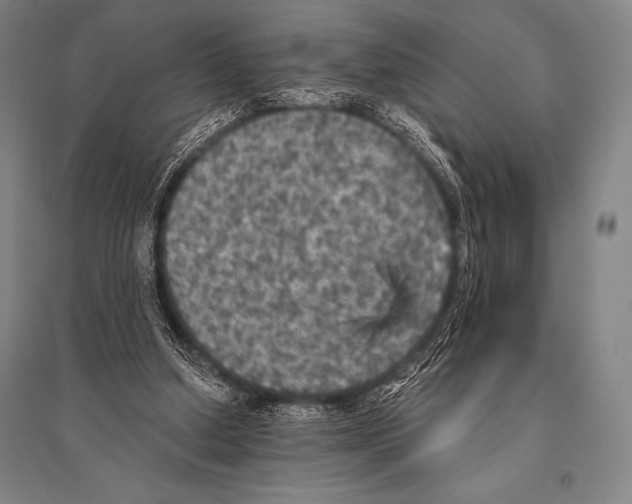 X0000094810250200712141628