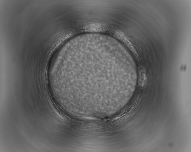 X0000094810251200712141628