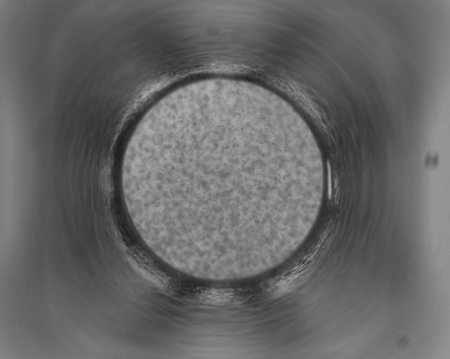 X0000094810252200712141628