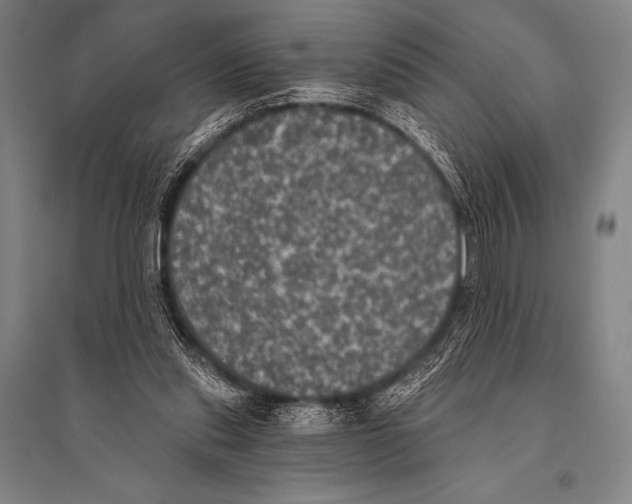 X0000094810253200712141628