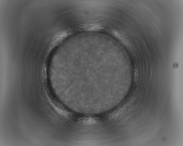 X0000094810254200712141628