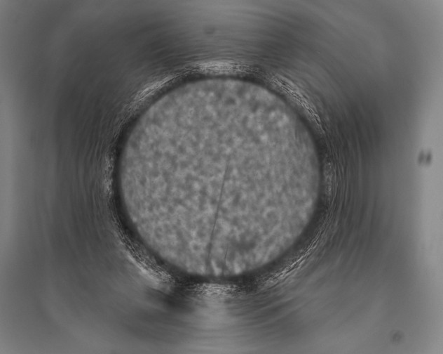 X0000094810255200712141628