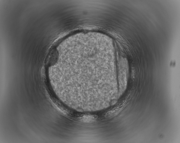 X0000094810256200712141628