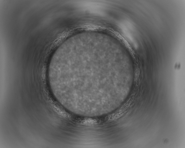 X0000094810257200712141628