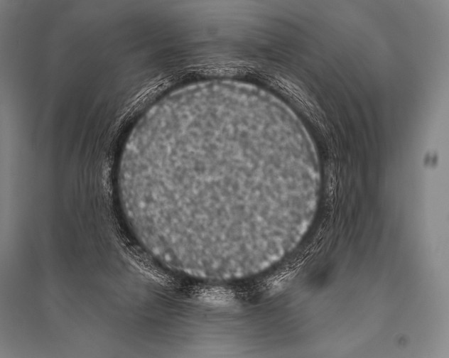 X0000094810258200712141628