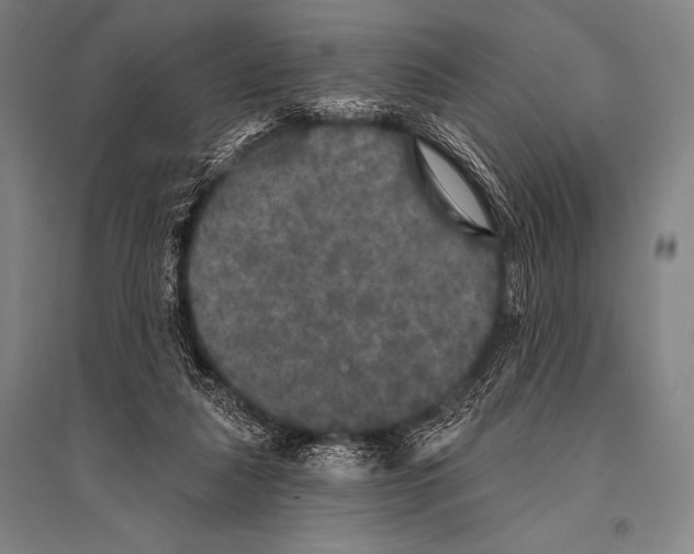 X0000094810259200712141628