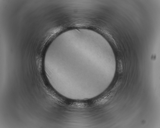 X0000094810260200712141628