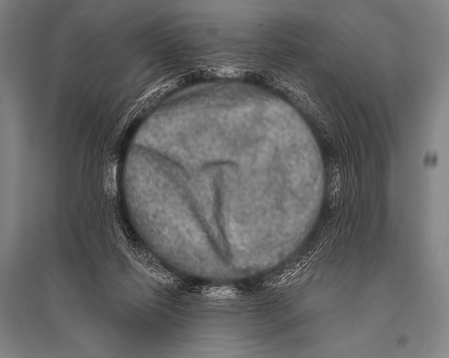 X0000094810262200712141628