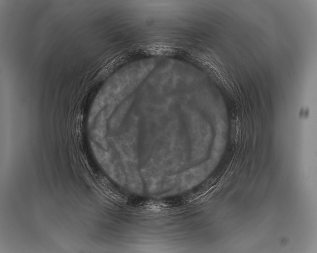 X0000094810263200712141628