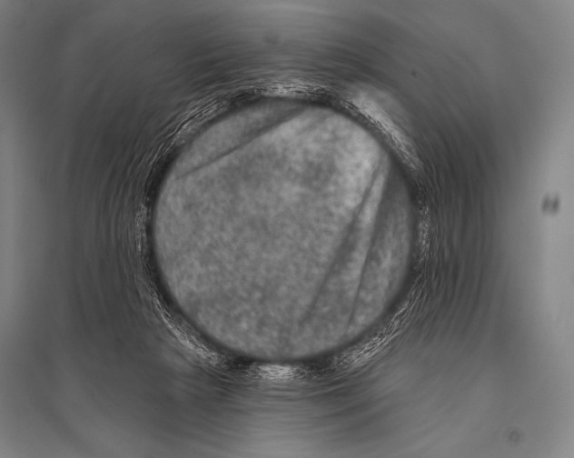 X0000094810265200712141629