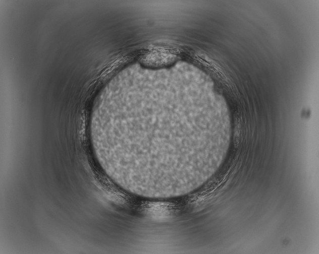 X0000094810268200712141629