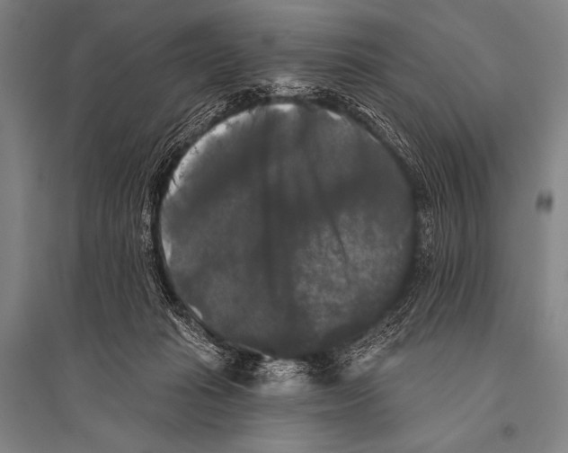 X0000094810269200712141629