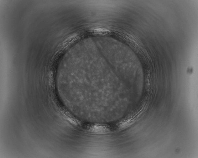 X0000094810270200712141629