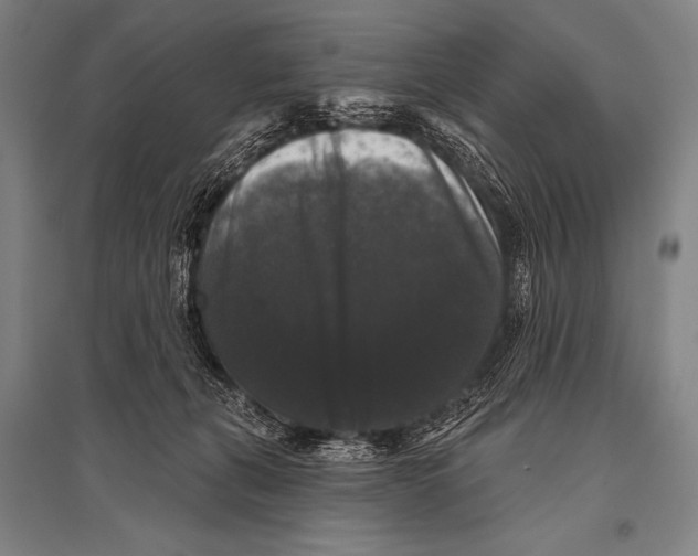 X0000094810271200712141629